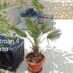 Zeljka Apartman